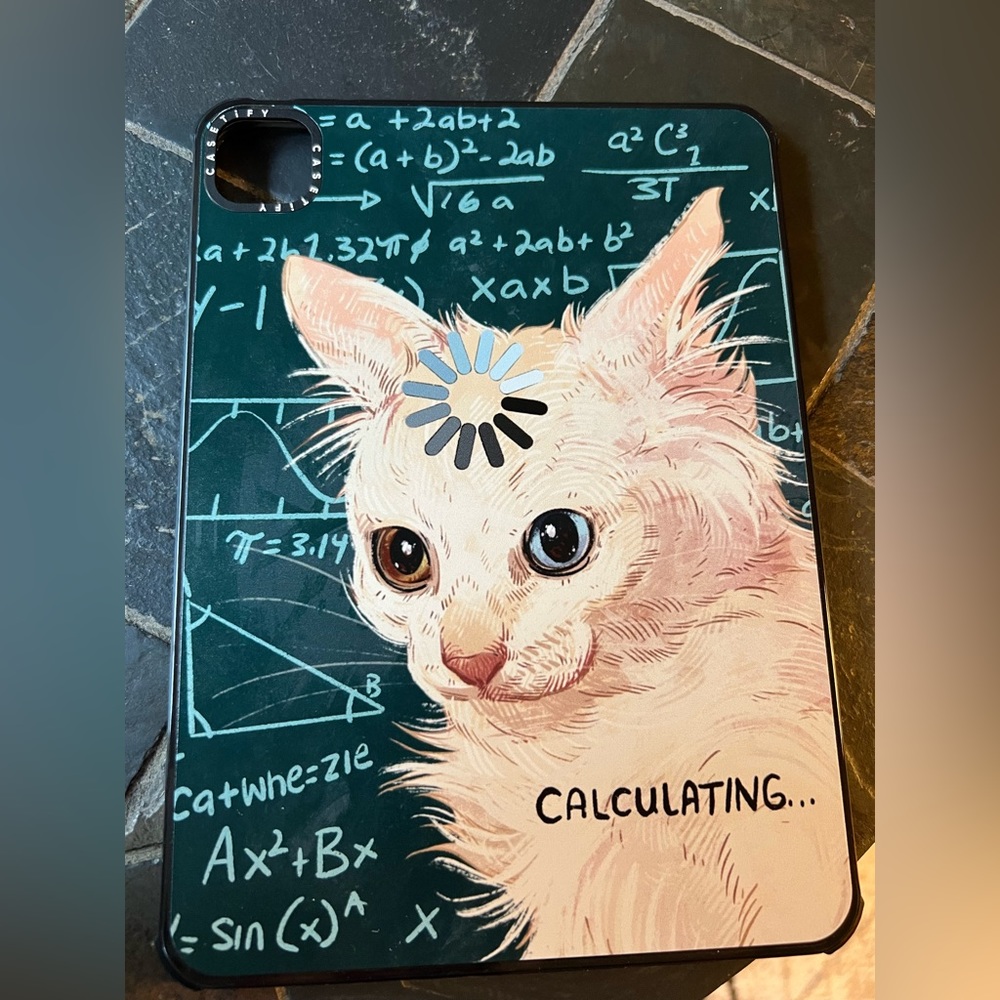 Casetify iPad case
